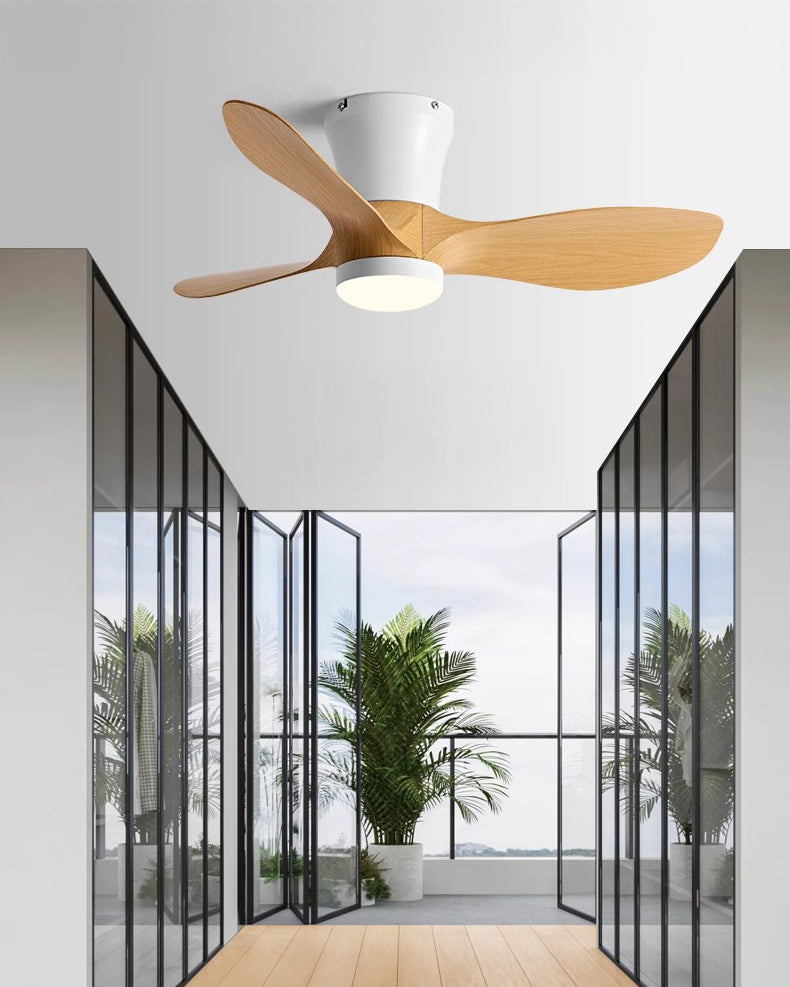 WOMO 3 Blade Small Ceiling Fan Lamp-WM5218
