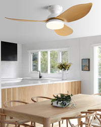 WOMO 38 Inch Low Profile Ceiling Fan Lamp-WM5219