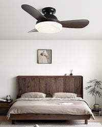 WOMO Modern Low Profile Ceiling Fan Lamp-WM5221