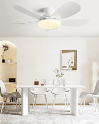 WOMO Modern Low Profile Ceiling Fan Lamp-WM5221