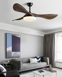 WOMO Modern Ceiling Fan Lamp-WM5222