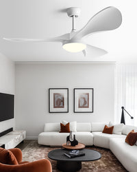 WOMO 52 Inch Modern Ceiling Fan Lamp-WM5224