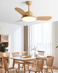 WOMO 3 Blade Modern Ceiling Fan Lamp-WM5227
