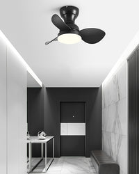 WOMO 22 Inch Small Low Profile Ceiling Fan Lamp - WM5229