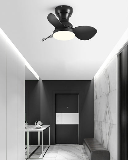 WOMO 22 Inch Small Low Profile Ceiling Fan Lamp - WM5229