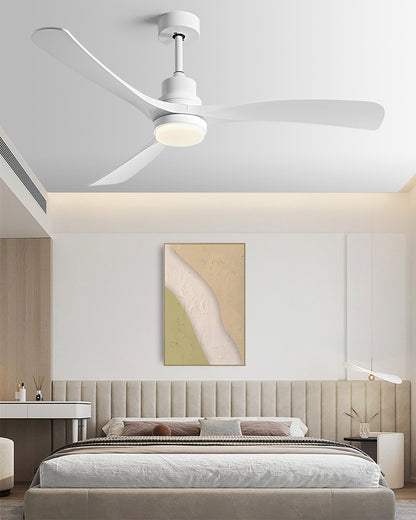 WOMO 56 Inch Ceiling Fan Lamp - WM5233