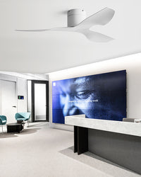 WOMO 3 Blade Low Profile Ceiling Fan - WM5237