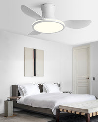 WOMO Modern Low Profile Ceiling Fan Lamp - WM5239