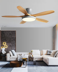 WOMO 5 Blade Low Profile Ceiling Fan Lamp - WM5245a