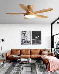 WOMO 5 Blade Low Profile Ceiling Fan Lamp - WM5245a