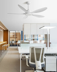 WOMO Modern Ceiling Fan - WM5246