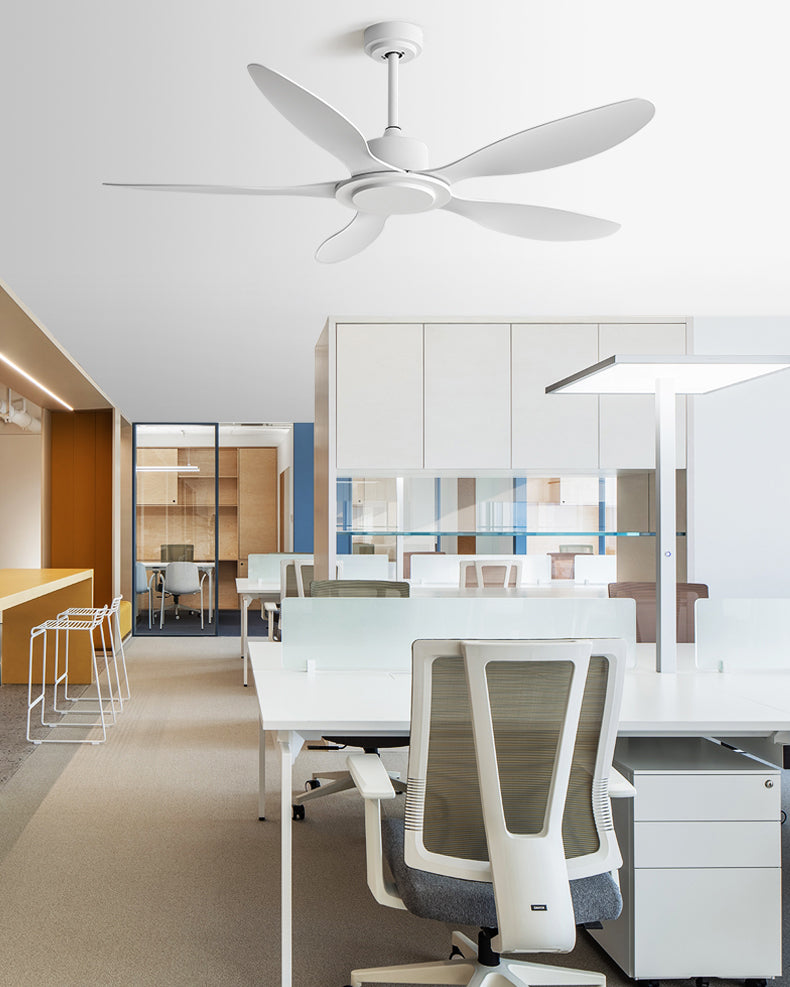 WOMO Modern Ceiling Fan - WM5246