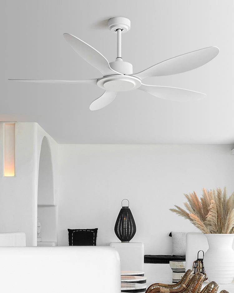 WOMO Modern Ceiling Fan - WM5246