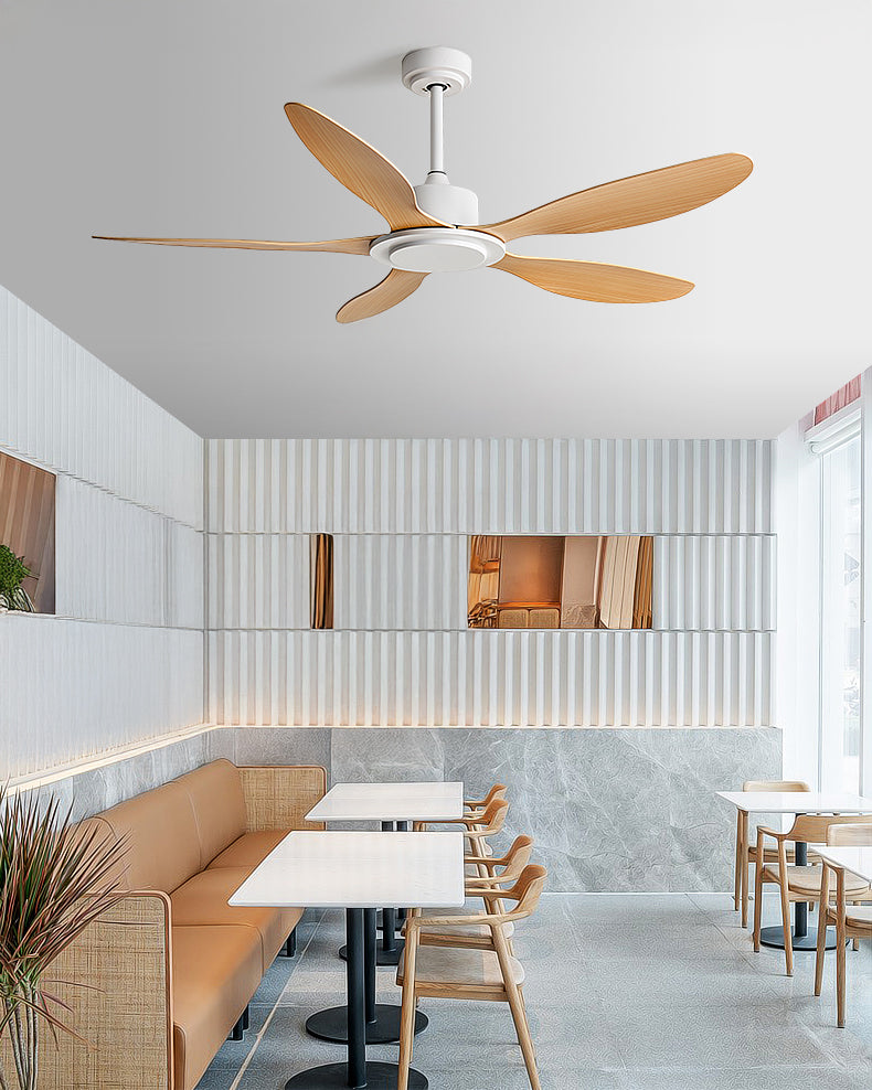 WOMO Modern Ceiling Fan - WM5246