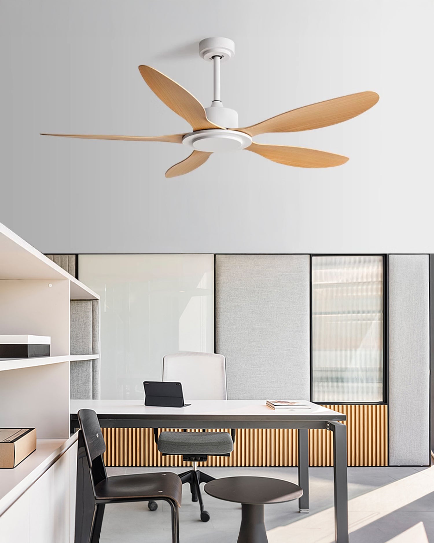 WOMO Modern Ceiling Fan - WM5246