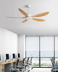 WOMO Modern Ceiling Fan - WM5246