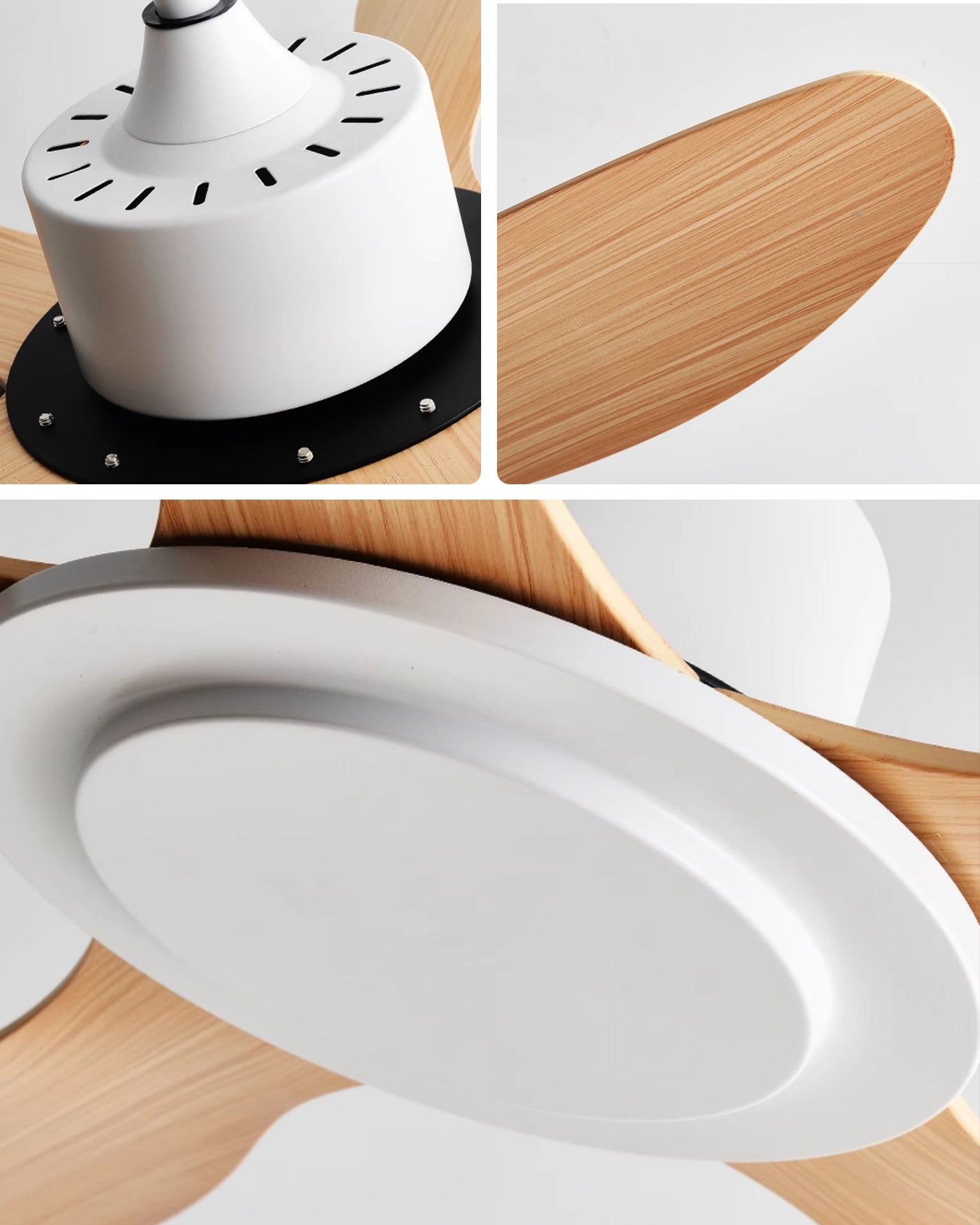 WOMO Modern Ceiling Fan - WM5246