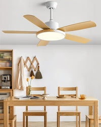 WOMO 5 Blade Modern Ceiling Fan Lamp - WM5250