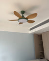 WOMO 5 Blade Modern Ceiling Fan Lamp - WM5252 thumbnail