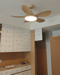 WOMO 5 Blade Modern Ceiling Fan Lamp - WM5252