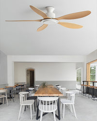 WOMO 5 Blade Low Profile Ceiling Fan - WM5254