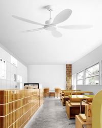 WOMO Modern Ceiling Fan - WM5260