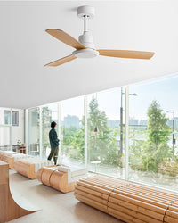 WOMO Modern Ceiling Fan - WM5260