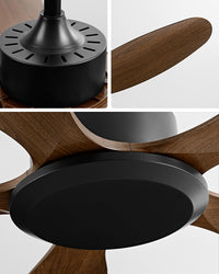 WOMO Modern Ceiling Fan - WM5260