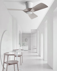 WOMO Samll Low Profile Ceiling Fan - WM5263