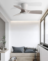 WOMO Samll Low Profile Ceiling Fan - WM5263