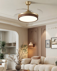 WOMO Retractable Blade Ceiling Fan Lamp - WM5265