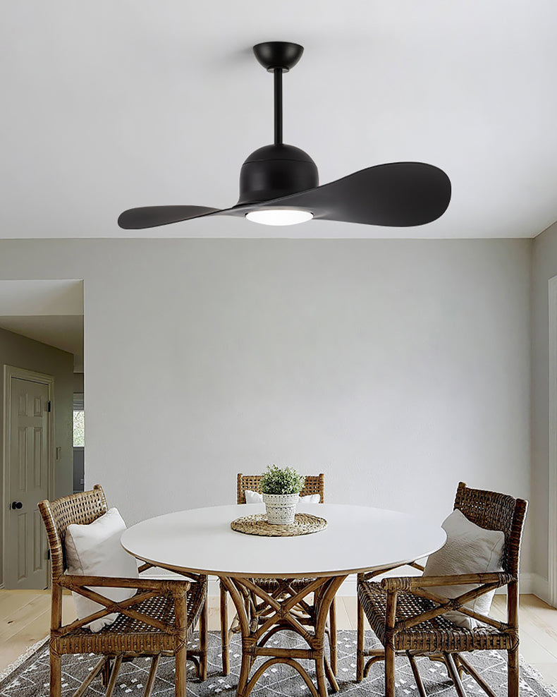 WOMO 2 Blade Unique Ceiling Fan Lamp - WM5270