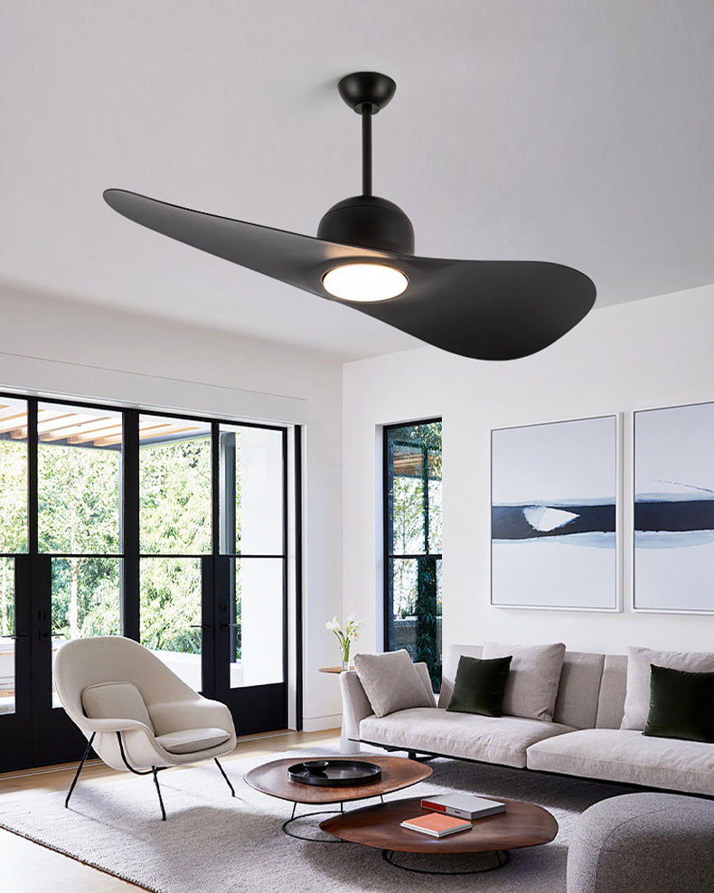 WOMO 2 Blade Unique Ceiling Fan Lamp - WM5270
