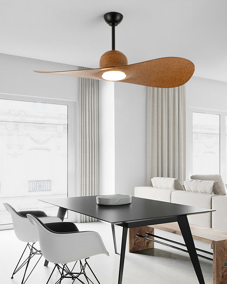 WOMO 2 Blade Unique Ceiling Fan Lamp - WM5270