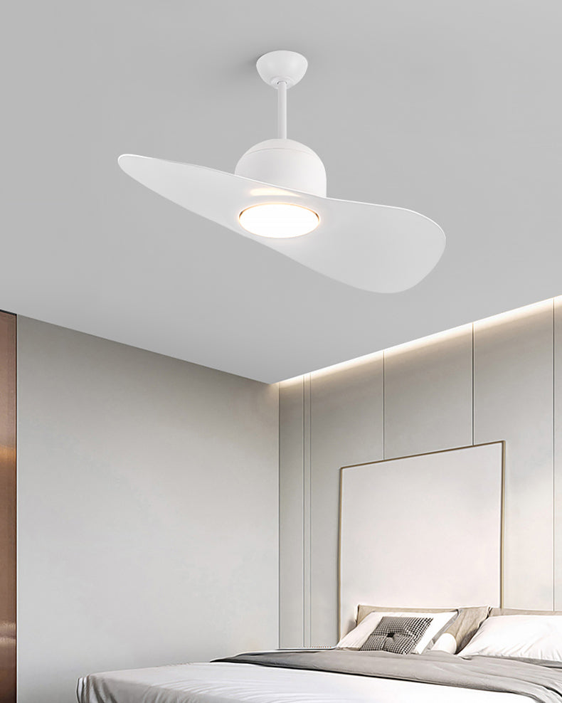 WOMO 2 Blade Unique Ceiling Fan Lamp - WM5270