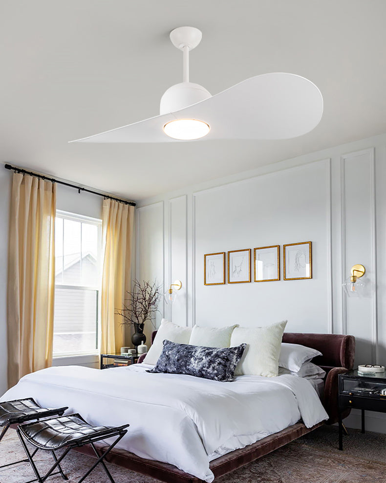 WOMO 2 Blade Unique Ceiling Fan Lamp - WM5270