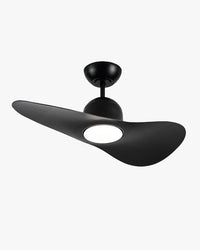 WOMO 2 Blade Unique Ceiling Fan Lamp - WM5270