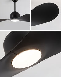 WOMO 2 Blade Unique Ceiling Fan Lamp - WM5270