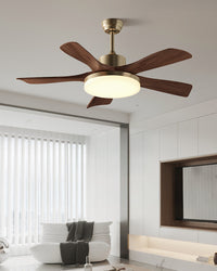 WOMO Mid Century Modern Ceiling Fan Lamp - WM5279