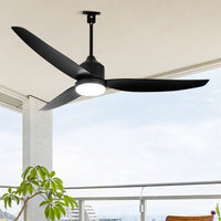 WOMO 52 inch Black Outdoor Ceiling Fan Lamp - WM5285