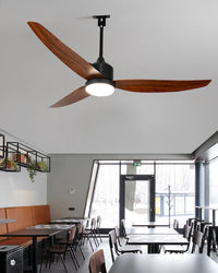 WOMO 52 inch Black Outdoor Ceiling Fan Lamp - WM5285