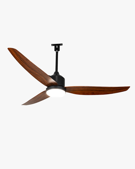 WOMO 52 inch Black Outdoor Ceiling Fan Lamp - WM5285