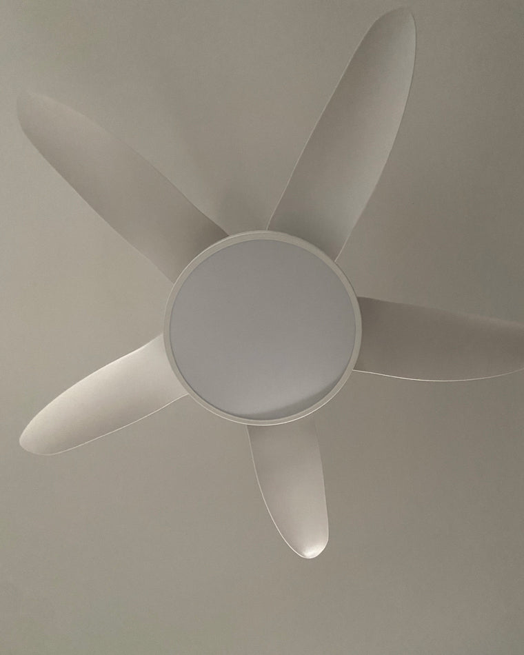 WOMO 5 Blade Contemporary Ceiling Fan Lamp-WM5000