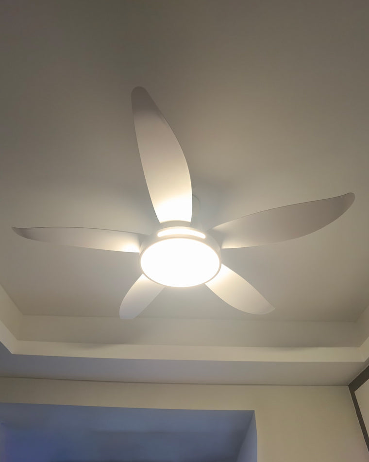 WOMO 5 Blade Contemporary Ceiling Fan Lamp-WM5000