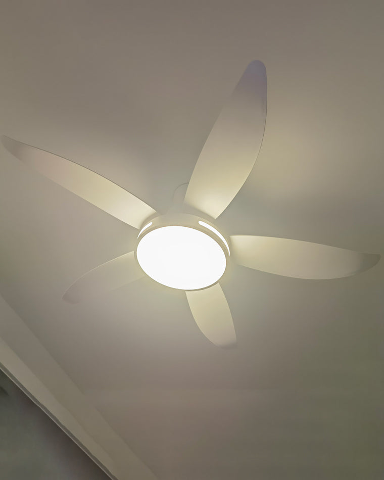 WOMO 48" Ceiling Fan Lamp-WM5000