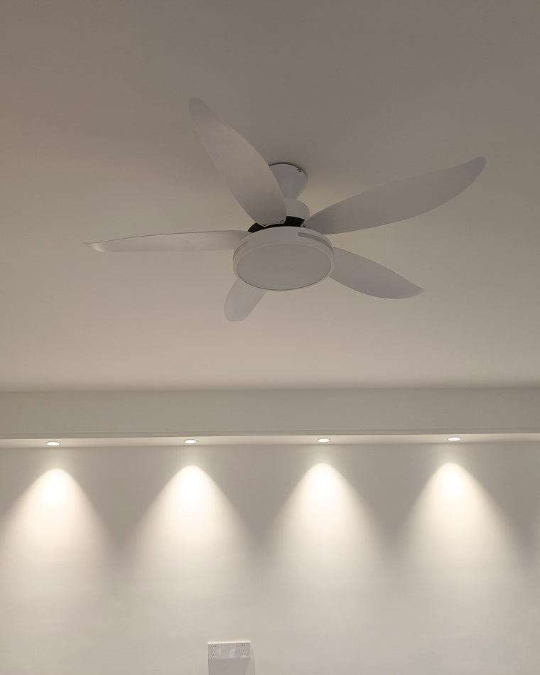 WOMO 5 Blade Contemporary Ceiling Fan Lamp-WM5000