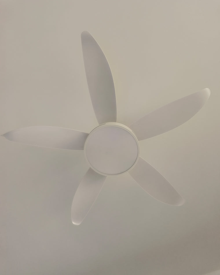 WOMO 5 Blade Contemporary Ceiling Fan Lamp-WM5000