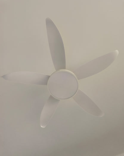 WOMO 5 Blade Contemporary Ceiling Fan Lamp-WM5000