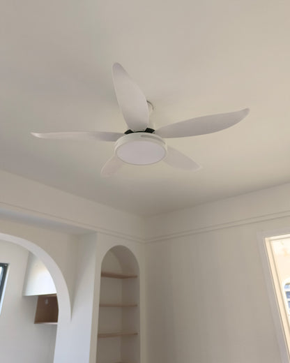 WOMO 5 Blade Contemporary Ceiling Fan Lamp-WM5000