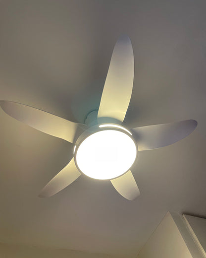 WOMO 5 Blade Contemporary Ceiling Fan Lamp-WM5000